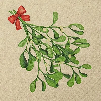 Image of 20 Napkins Eco Line Sustainable Made from 100% Recycled Paper Green Mistletoe Branch Christmas Winter Natural Table Decoration 33 x cm