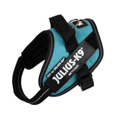 Image of IDC Powerharness, Size: Mini Mini/XS, Turquoise