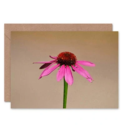 Image of Wee Blue Coo NATURE PLANT FLOWER ECHINACEA PINK BLANK GREETINGS BIRTHDAY CARD ART
