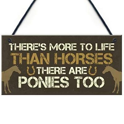 Image of RED OCEAN Funny Novelty Horse Pony Gifts For Girls Women Hanging Stable Bedroom Sign Birthday Gift Lovers
