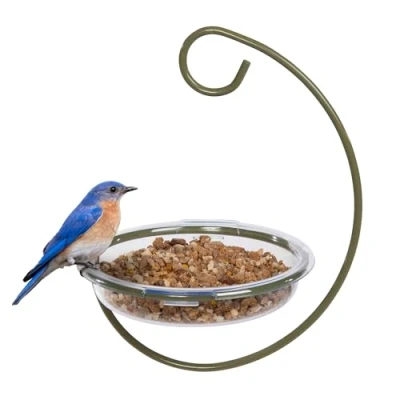 Image of Mealworm and Robin bird feeder Jacobi Jayne® Easy Clean Hanging Treat Dish Ideal for Seed, Mealworms &amp; table scraps wild food (Hanging Dish)