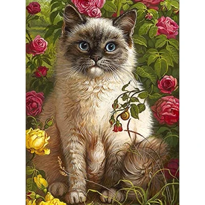 Image of Leejoy 5D Diamond Art Flowers, Cats, DIY Painting Kits for Adults Animals, Plants Full Drill Crystal Rhinestone Embroidery Pictures Arts Crafts Canvas Cross Stitch Home Decor 30x40cm