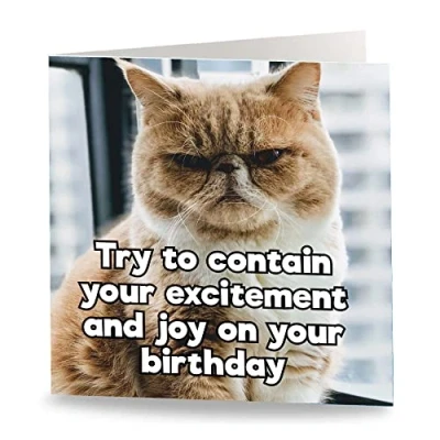 Image of Maturi &#039;Contain Your Excitement &#039; Funny Humorous Cat Birthday Greetings Card Blank Inside, 15.5 x cm