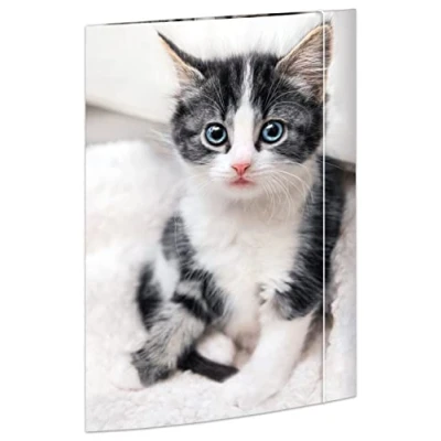 Image of RNK 45331 Drawing Folder Cat 310 x 440 mm DIN A3 with Elastic Closure Pack of 1