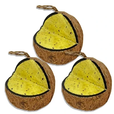 Image of XL Mealworm &amp; Insect Suet Coconut Feeder, 3 Pack, Wild Bird Food, Hanging for Birds