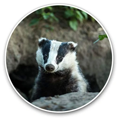 Image of Vinyl Stickers (Set of 2) 7.5cm Badger Sett Wildlife Animal #15810