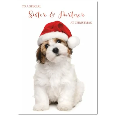 Image of doodlecards Sister &amp; Partner Christmas Card Dog and Santa Hat Medium Size with Plain Envelope