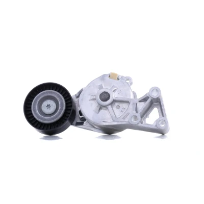 Image of 038903315AE, 038903315F Tensioner Pulley GATES FleetRunner Micro V Kit T38307 VOLKSWAGEN: Bora Saloon, Golf 4 Variant,