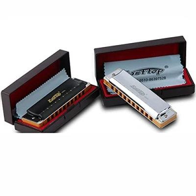 Image of Easttop advanced blues harmonica T008s10 hole C is suitable for professional adult students to play instruments (plastic box) (black)