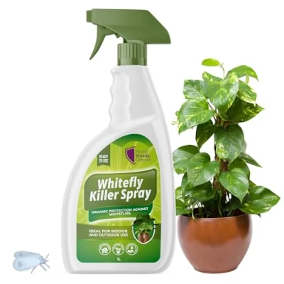 Image of Whitefly Killer Spray 1L Effective Plant Bug &amp; Insecticide Soap for Houseplants, Outdoor Plants, Garden Use Targets Whiteflies Flying Insects Fast Action Insect Home