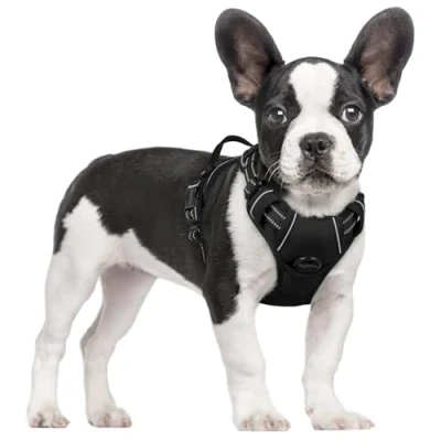 Image of rabbitgoo Dog Harness Small No Pull Pet with 2 Leash Clips, Adjustable Soft Padded Vest Harness, Reflective Choke Easy Control Handle for Training or Walking, Black, S