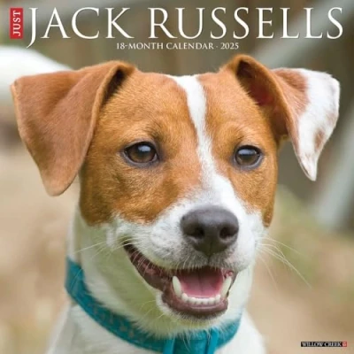 Image of Jack Russells 2025 Wall