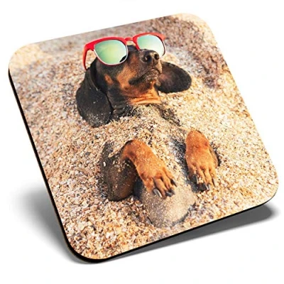 Image of Great Single Coaster Square Dachshund Dog on The Beach Glossy Quality Coasters Tabletop Protection for Any Table Type #3225