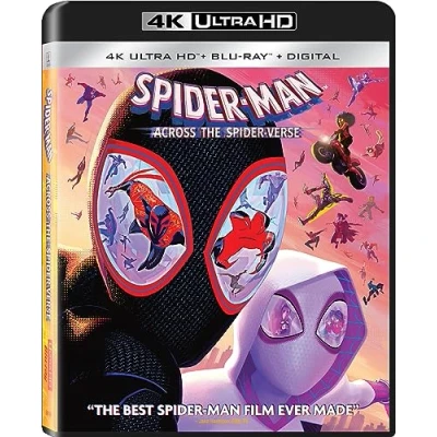 Image of Spider Man: Across the Verse