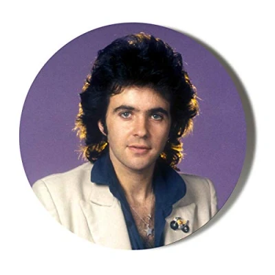 Image of Gift Insanity DAVID ESSEX CLASSIC POSE 58mm Large BADGE