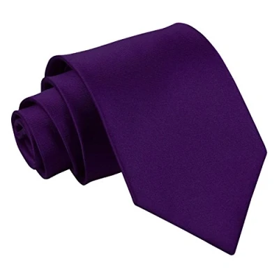 Image of DQT Plain Glossy Satin Polyester Wedding Classic Neck Tie for Men in Purple
