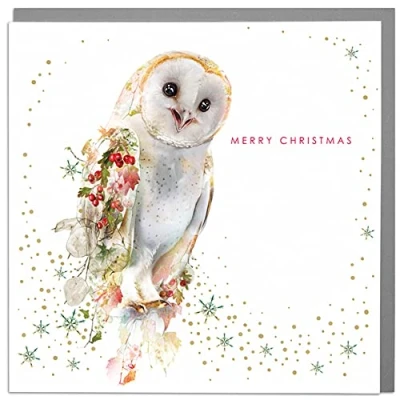 Image of Lola Design Wildlife Wonderful Christmas Cards Blank and Envelopes Barn Owl