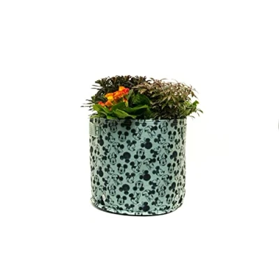 Image of Eco Pot Disney Mickey Mouse &amp; Minnie Fabric Green 23L