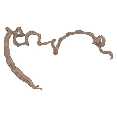Image of Lucky Reptile Corkscrew Liane Medium, 80 120 cm
