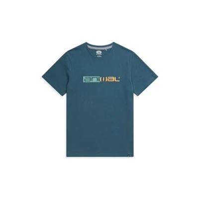 Image of Animal Jacob Mens Cotton T Shirt Lightweight &amp; Relaxed Fit Tee Autumn Winter, Walking, Hiking, Outdoors Travelling Teal S