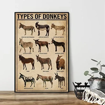 Image of Bioprocess Types Of Donkeys Poster, Donkey Lover Gift, Print, Gifts Wall Decor Kitchen Poster Metal Sign 8X12 Inches
