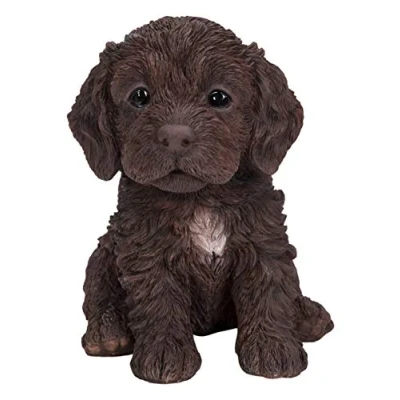 Image of Vivid Arts Pet Pals Chocolate Cockapoo Puppy Home or Garden Decoration (PP CKP7 F)