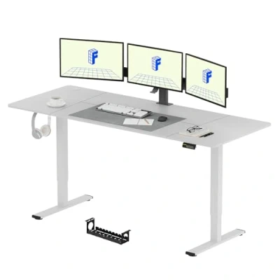 Image of FLEXISPOT Electric Standing Desk 200 x 80 cm Height Adjustable for Home Office (White)