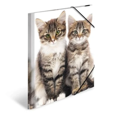 Image of HERMA 7138 Portfolio Folders A4 Animals Cats, Pack of 3, Children&#039;s Plastic Corner Folder with Inner Print and Elastic Band, Sturdy Set for Boys Girls