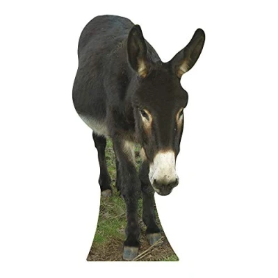 Image of Star Cutouts Cut Out of Donkey