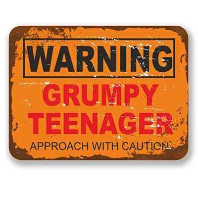 Image of 2 x 10cm Grumpy Teenager Warning Sign Vinyl Sticker Laptop Boys Joke #6561 (10cm Wide 7.5cm Tall)