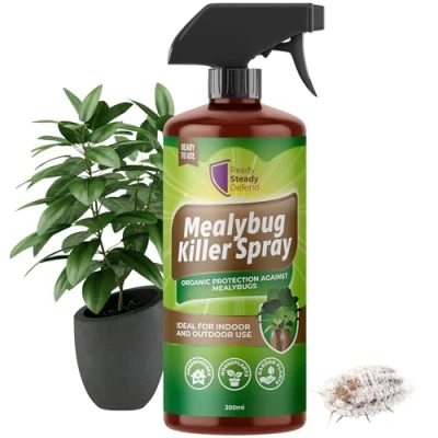 Image of Mealybug Killer Spray 200ml Bug with Insecticidal Soap for Indoor Plants Effective Plant Insecticide to Target Mealybugs Easy Use House Vibrant Growth