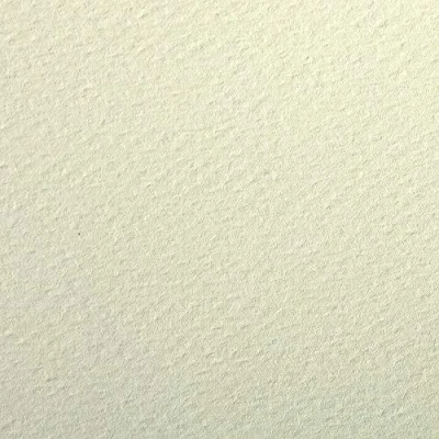 Image of Clairefontaine Ref 93792C Etival Coloured Grained Drawing Paper (24 Sheets of Paper) 50 x 65cm 160gsm Cellulose Art Pale Green Acid Free, pH Neutral