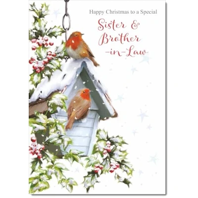 Image of doodlecards Sister &amp; Brother in Law Christmas Card Two Robins Snow Medium Size with Plain Red Envelope, 21 x 15cm