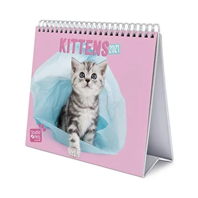 Image of Grupo Erik Studio Pets Cats 2021 Desk Calendar Desktop CS21012