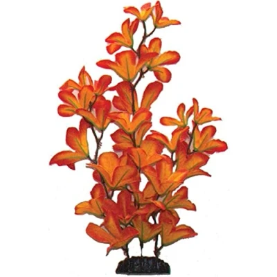 Image of Sunset Macrandra Silk Like Plant 40cm by KenKoi…