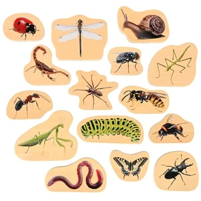 Image of TickiT 73568 Wooden Minibeast Blocks Toys Early Development &amp; Activity
