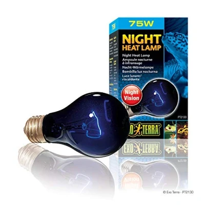 Image of EXO TERRA Night Heat Bulb 75 W