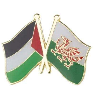 Image of Wales &amp; Palestine Friendship National Flag Metal Enamel Pin Badge Lapel