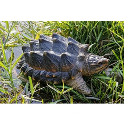 Image of Hi Line Gift Ltd. SNAPPING TURTLE STATUE