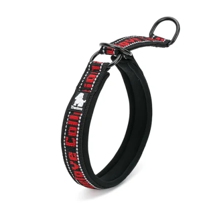 Image of Truelove Dog Choke Collar Reflective Slip No Pull Comfortable Martingale Pet Training TLC5371(Black/Red,XL)