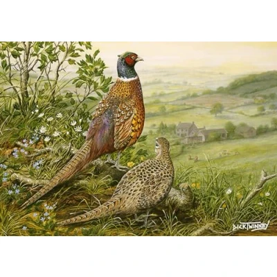 Image of Pheasant greeting card. the edge of copse by Dick Twinney