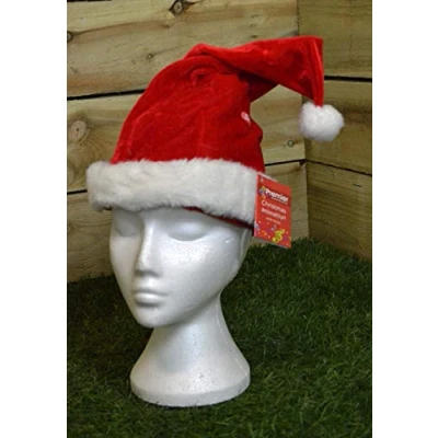 Image of Animated Christmas Santa Hat by Premier