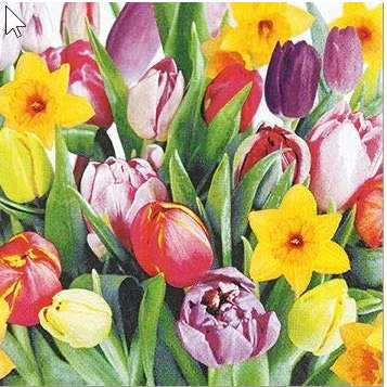 Image of 20 Napkins Tulips Spring Tulip Bouquet 33 x cm