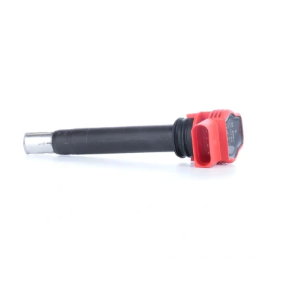 Image of 95860210200 Ignition coil BOSCH 0 221 604 800 14V AUDI: A5 B8 Coupe, A4 Avant, Saloon, VOLKSWAGEN: Touareg II, I, PORSCHE: Cayenne