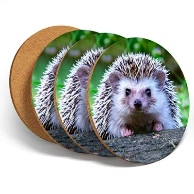 Image of 4 Set Cute Cheeky Hedgehog Coasters Kitchen Drinks Coaster #14322