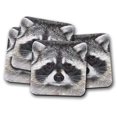 Image of 4 Set Cute Raccoon Coaster Wild Animal Racoon American Cheeky #14190