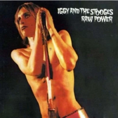 Image of Iggy Pop Raw Power Remastered Special Edition Sealed 2017 UK 2 LP vinyl set 88985375171