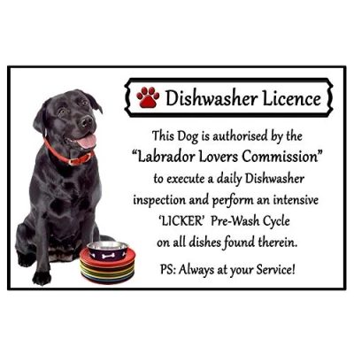 Image of Black Labrador Lover Gift Fun Dishwasher Licence Flexible 6&quot; x 4&quot; Magnet
