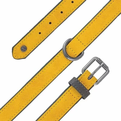 Image of Sotnos Aquatech Brights Dog Collar, Mustard Yellow, L