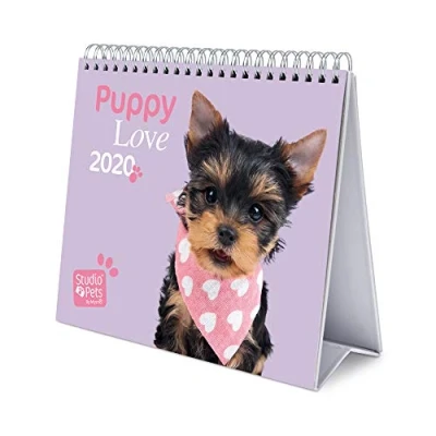 Image of Erik Studio Pets Dogs 2020 Desk Calendar 12 Months,CS20004